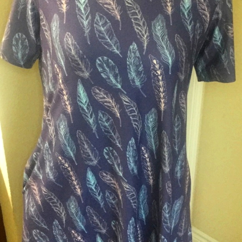 BLUE & PINK FEATHER DRESS